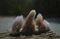 Natural Ametrine Spirit Quartz Clusters x 12 From Boekenhouthoek, South Africa