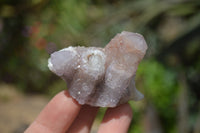 Natural Ametrine Spirit Quartz Clusters x 12 From Boekenhouthoek, South Africa