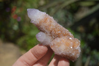 Natural Ametrine Spirit Quartz Clusters x 12 From Boekenhouthoek, South Africa