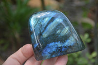 Polished Labradorite Standing Free Forms x 5 From Tulear, Madagascar