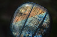 Polished Labradorite Standing Free Forms x 5 From Tulear, Madagascar