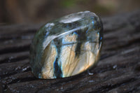 Polished Labradorite Standing Free Forms x 5 From Tulear, Madagascar