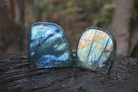 Polished Labradorite Standing Free Forms x 5 From Tulear, Madagascar