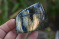 Polished Labradorite Standing Free Forms x 5 From Tulear, Madagascar