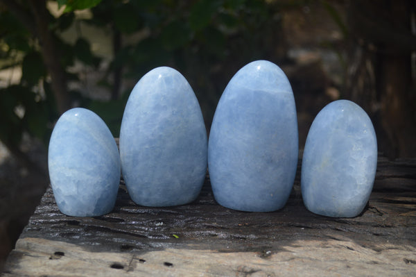 Polished Blue Calcite Standing Free Forms x 4 From Ihadilalana, Madagascar