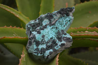 Natural Drusy Coated Malacolla On Dolomite Specimens x 5 From Likasi, Congo