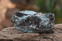 Natural Drusy Coated Malacolla On Dolomite Specimens x 5 From Likasi, Congo