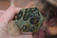 Polished Stromatolite Jasper Points x 3 From Katsepy, Madagascar