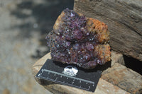 Natural Amethystos Amethyst Plates x 4 From Kwaggafontein, South Africa