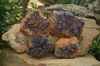 Natural Amethystos Amethyst Plates x 4 From Kwaggafontein, South Africa