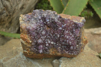 Natural Amethystos Amethyst Plates x 4 From Kwaggafontein, South Africa