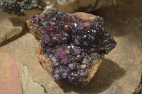 Natural Amethystos Amethyst Plates x 4 From Kwaggafontein, South Africa