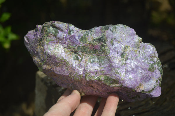 Natural Stichtite Specimens x 2 From Barberton, South Africa