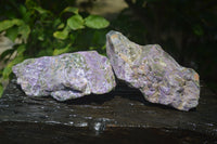 Natural Stichtite Specimens x 2 From Barberton, South Africa