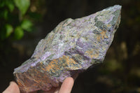 Natural Stichtite Specimens x 2 From Barberton, South Africa