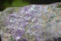 Natural Stichtite Specimens x 2 From Barberton, South Africa