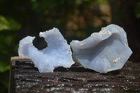 Natural Etched Blue Chalcedony Specimens x 12 From Nsanje, Malawi