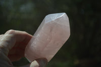 Polished Double Terminated Rose Quartz Points x 6 From Ambatondrazaka, Madagascar