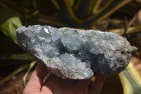 Natural Celestite Specimen x 1 From Sakoany, Madagascar