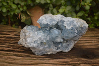 Natural Celestite Specimen x 1 From Sakoany, Madagascar