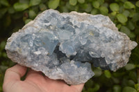 Natural Celestite Specimen x 1 From Sakoany, Madagascar