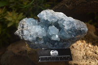 Natural Celestite Specimen x 1 From Sakoany, Madagascar