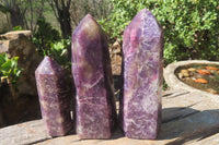 Polished Lepidolite Points x 3 From Madagascar