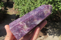 Polished Lepidolite Points x 3 From Madagascar