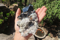 Natural Hyalite Opal Coated Black Tourmaline Specimen x 1 From Namibia