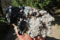 Natural Hyalite Opal Coated Black Tourmaline Specimen x 1 From Namibia