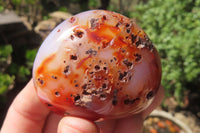 Polished Carnelian Palm Stones x 12 From Madagascar