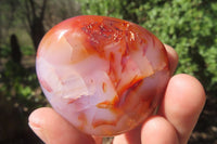 Polished Carnelian Palm Stones x 12 From Madagascar