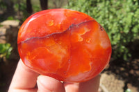 Polished Carnelian Palm Stones x 12 From Madagascar