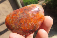 Polished Carnelian Palm Stones x 12 From Madagascar