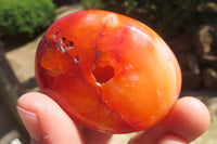 Polished Carnelian Palm Stones x 12 From Madagascar