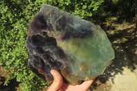 Polished Watermelon Fluorite Slice x 1 From Namibia