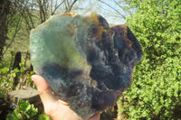 Polished Watermelon Fluorite Slice x 1 From Namibia