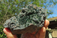 Natural Libethenite Crystals On Dolomite Matrix Specimens x 2 From Shituru, Congo