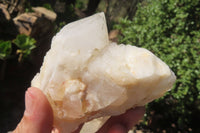 Natural Candle Quartz Clusters x 13 From Antsirabe, Madagascar