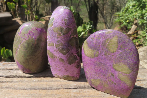 Polished Stichtite Standing Free Forms x 6 From Barberton, South Africa