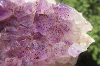 Natural Zululand Amethyst Agate Geodes x 3 from Jozini, South Africa