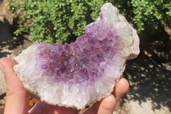 Natural Zululand Amethyst Agate Geodes x 3 from Jozini, South Africa