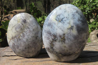 Polished Dendritic Opal Standing Free Forms x 3 From Madagascar