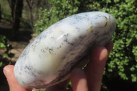 Polished Dendritic Opal Standing Free Forms x 3 From Madagascar