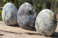 Polished Dendritic Opal Standing Free Forms x 3 From Madagascar