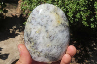 Polished Dendritic Opal Standing Free Forms x 3 From Madagascar