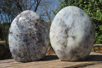 Polished Dendritic Opal Standing Free Forms x 3 From Madagascar