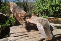 Natural Smokey Quartz With Feldspar Crystal x 1 From Zomba, Malawi