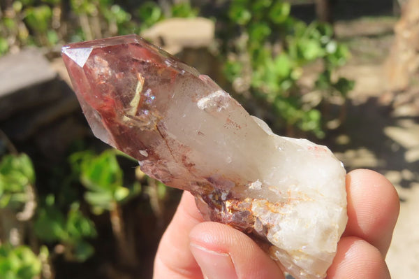 Natural Red Hematoid Quartz Crystal Specimens x 12 From Zimbabwe