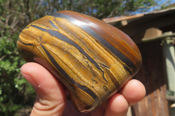 Polished Tiger's Eye Free Forms x 4 From Prieska, South Africa